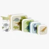 Spisetid|ALittleLovelyCompany A Little Lovely Company Madkasse & Flaske, Dinosaurs