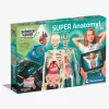 Eksperimenter & Videnskab|Clementoni Science & Play Forskersæt Anatomi