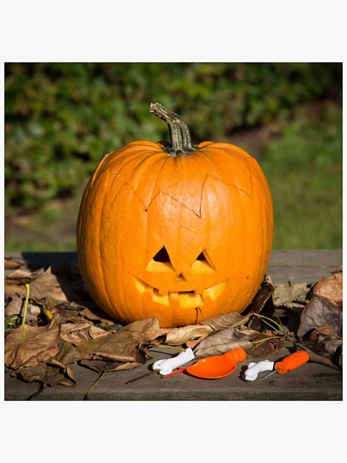 CreativCompany Creativ Company Halloween Græskar Skæresæt
