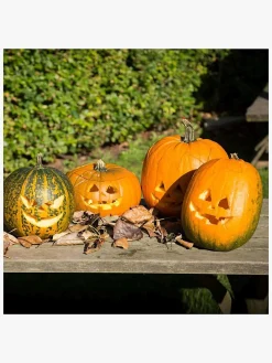 CreativCompany Creativ Company Halloween Græskar Skæresæt