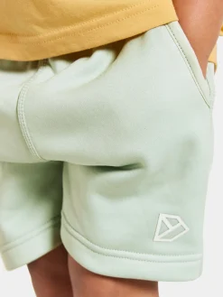 Børn Didriksons Corin Powerstretch Shorts, Pale Mint