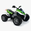 Injusa Elbiler & -Køretøjer-Rage Buggy 24V