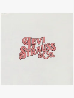 Børn Levis Levi's LVB Worn By Cowboys T-shirt, Egret