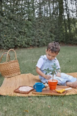 Udelegetøj|PlanToys Plan Toys Havesæt