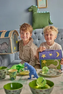 Børn Rice Dinosaur Opbevaringstaske, Grøn/Blå