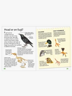 GlobeForlaget Ud i naturen - Fugle
